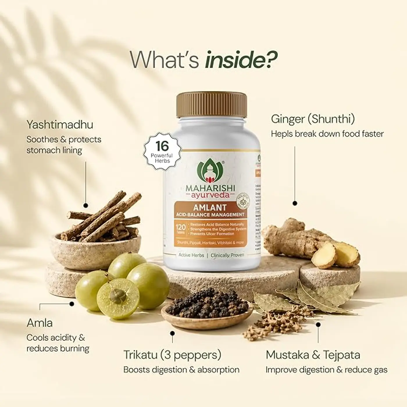 Maharishi Ayurveda Amlant Acidity & Indigestion Relief 4 Maharishi Ayurveda Amlant For Acidity Heartburn Gas & Bloating, Strengthens Digestive System Helps in reducing Acidity Recurrence Quick Relief from Acidity Clinically Proven Enriched with Haritaki and other 14 other potent Herbs 4