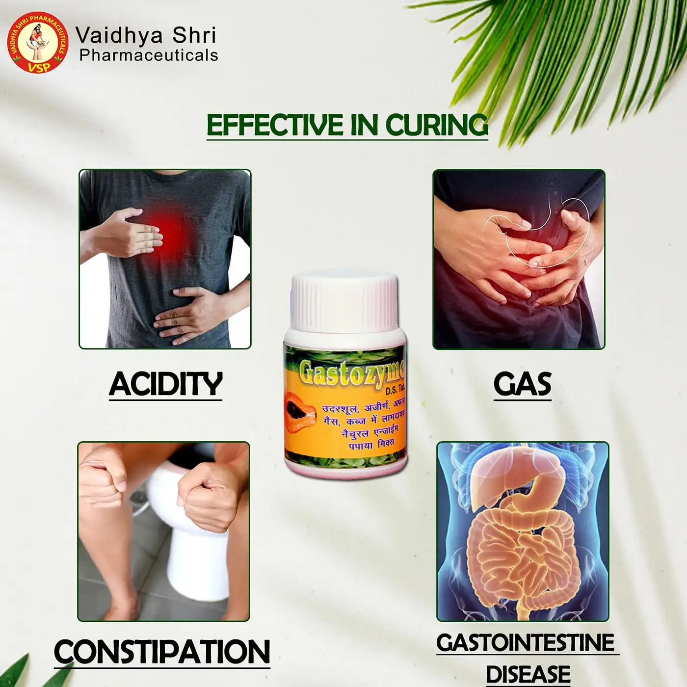 Healthy Digestion with Gastozyme D.S Tablets by VSP Healthy Digestion with Gastozyme D.S Tablets by VSP