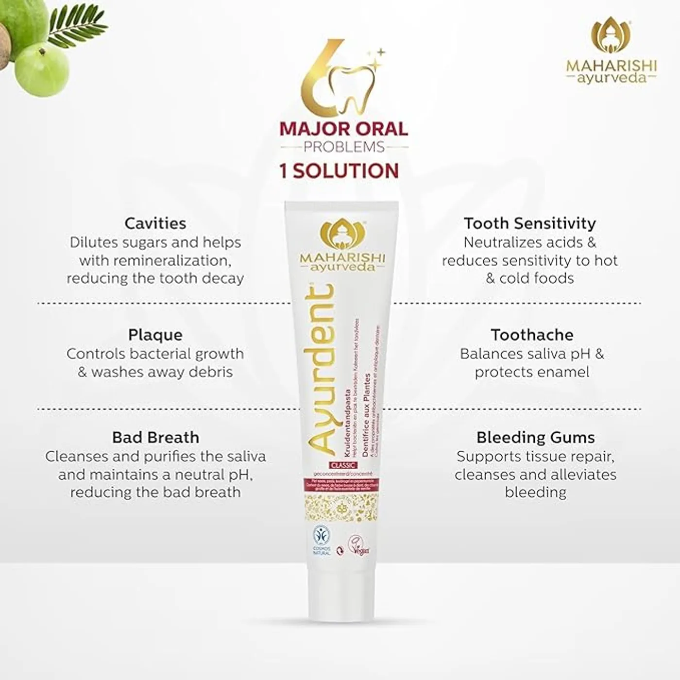 Ayurveda Toothpaste for Oral Care, Sensitivity & Whitening 3 Ayurveda Ayurdent Classic Toothpaste|Unique Saliva Balancing Formula|for Toothache,Bleeding Gums,Sensitivity,Cavities,Plaque & Bad Breath 3