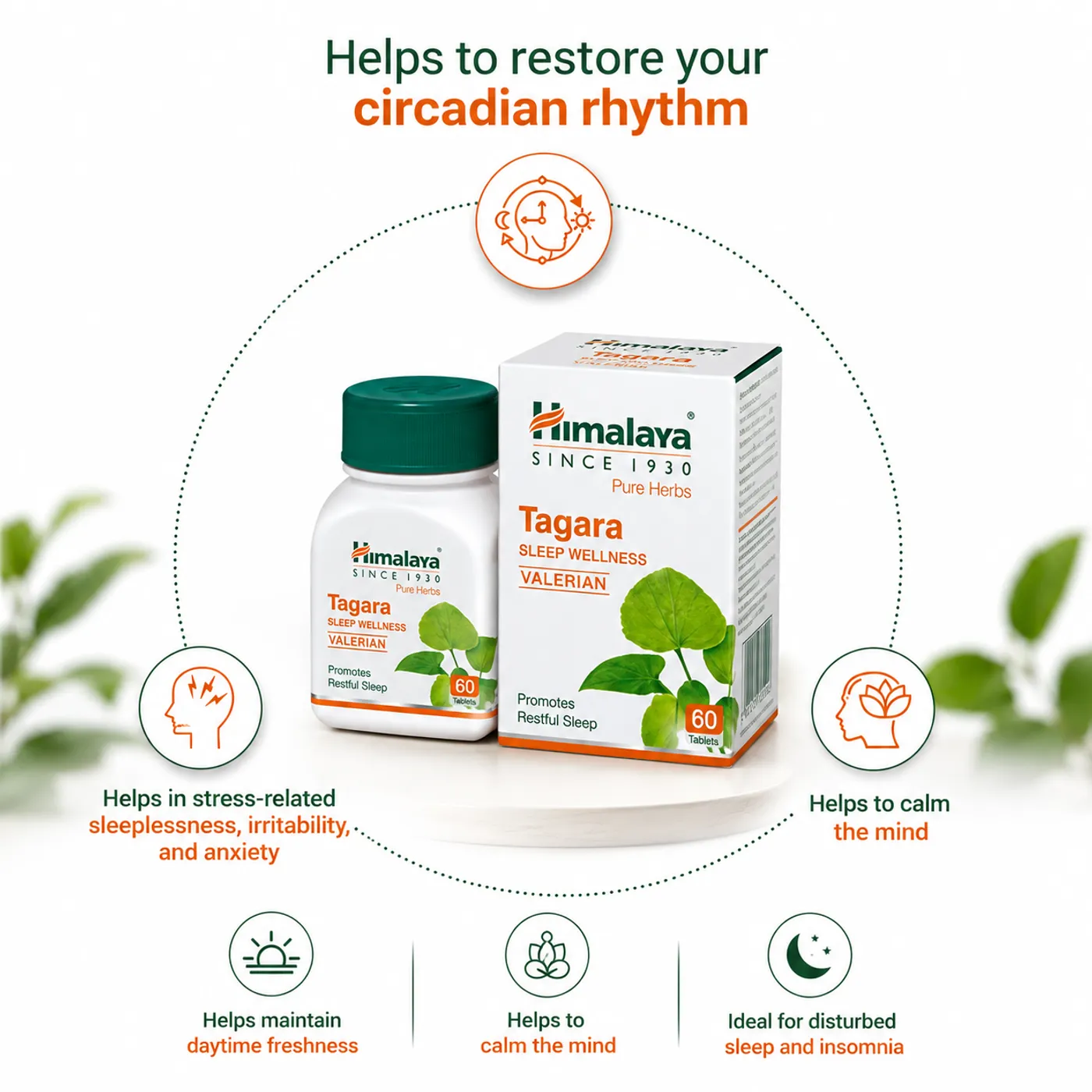 Himalaya Tagara Tablets – Natural Sleep Wellness 2 Himalaya Wellness Tagara Tablets for Sleep Wellness 2