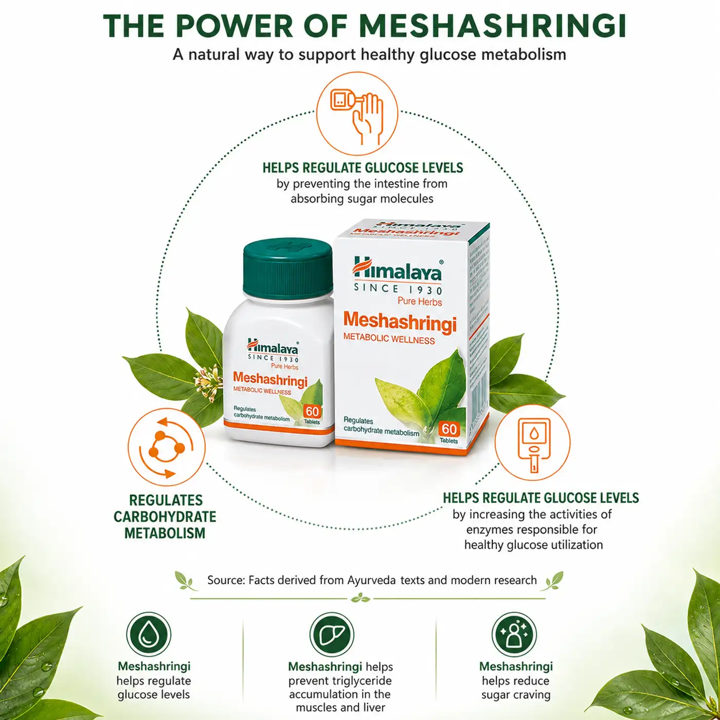 Himalaya Mesha Shringi Capsules for Blood Sugar & Cravings 3 Himalaya Mesha Shringi Capsules – Blood Sugar & Sugar Craving Support for Metabolic Health 3