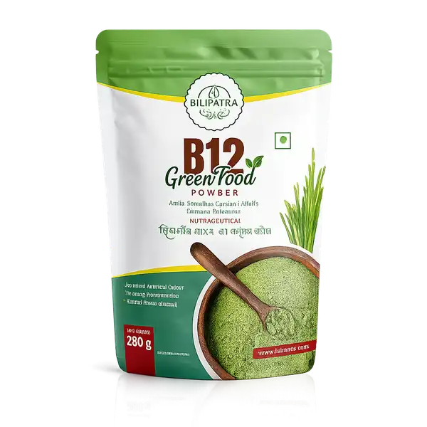 Best B12 Green Food Supplement in Surat for Busy Lifestyle Support Bilipatra B12 Green Food Powder in Surat for Daily Energy & Wellness