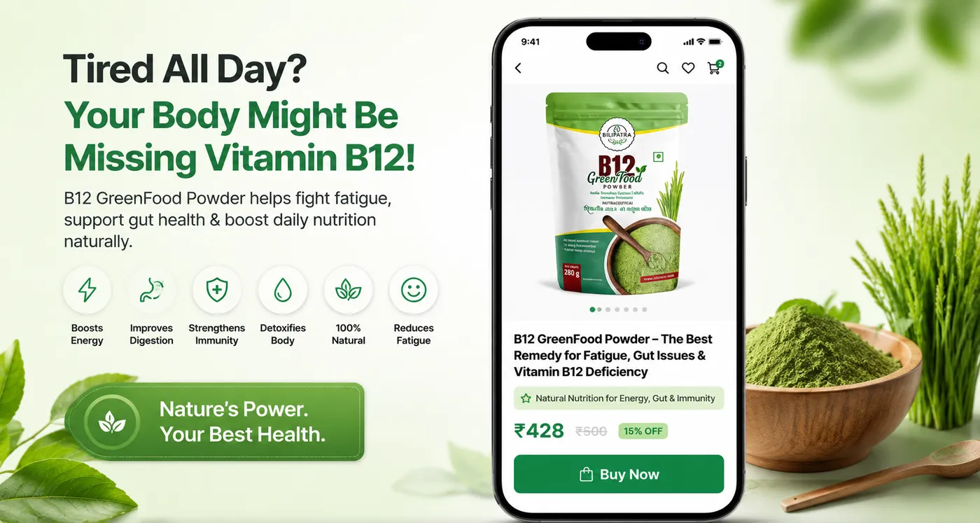 best b12 green food powder in surat for daily energy wellness