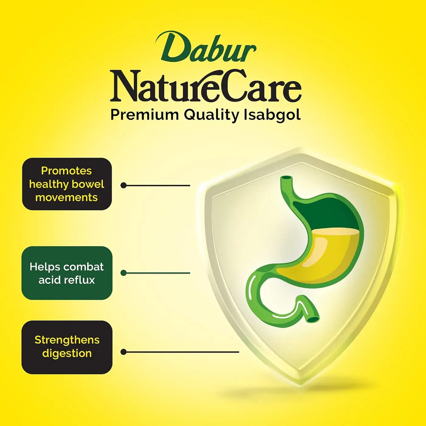 Dabur Nature Care Isabgol Natural Fiber for Digestion 3 Dabur Nature Care Isabgol| Provides Effective Relief from Constipation 3