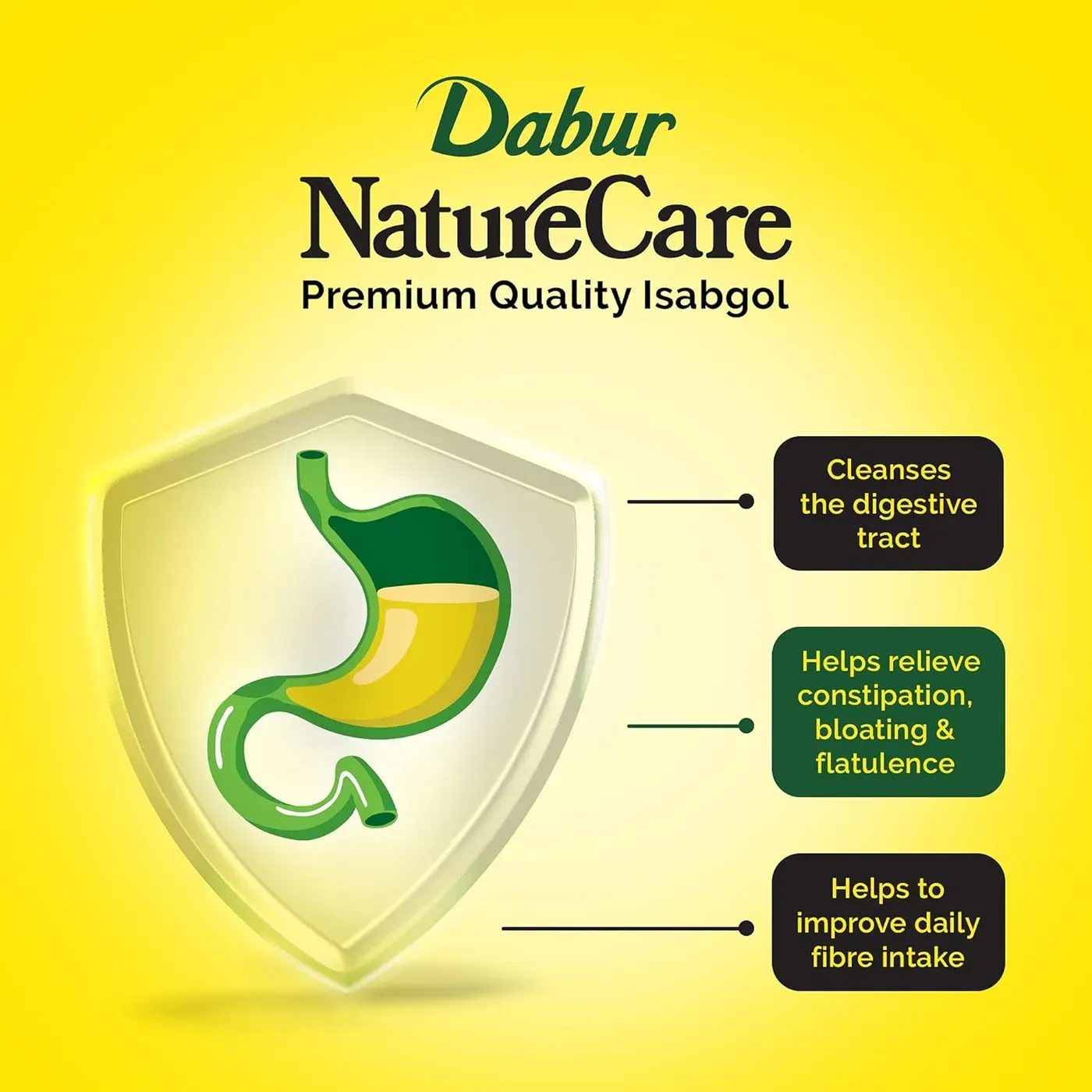Dabur Nature Care Isabgol Natural Fiber for Digestion 4 Dabur Nature Care Isabgol| Provides Effective Relief from Constipation 4