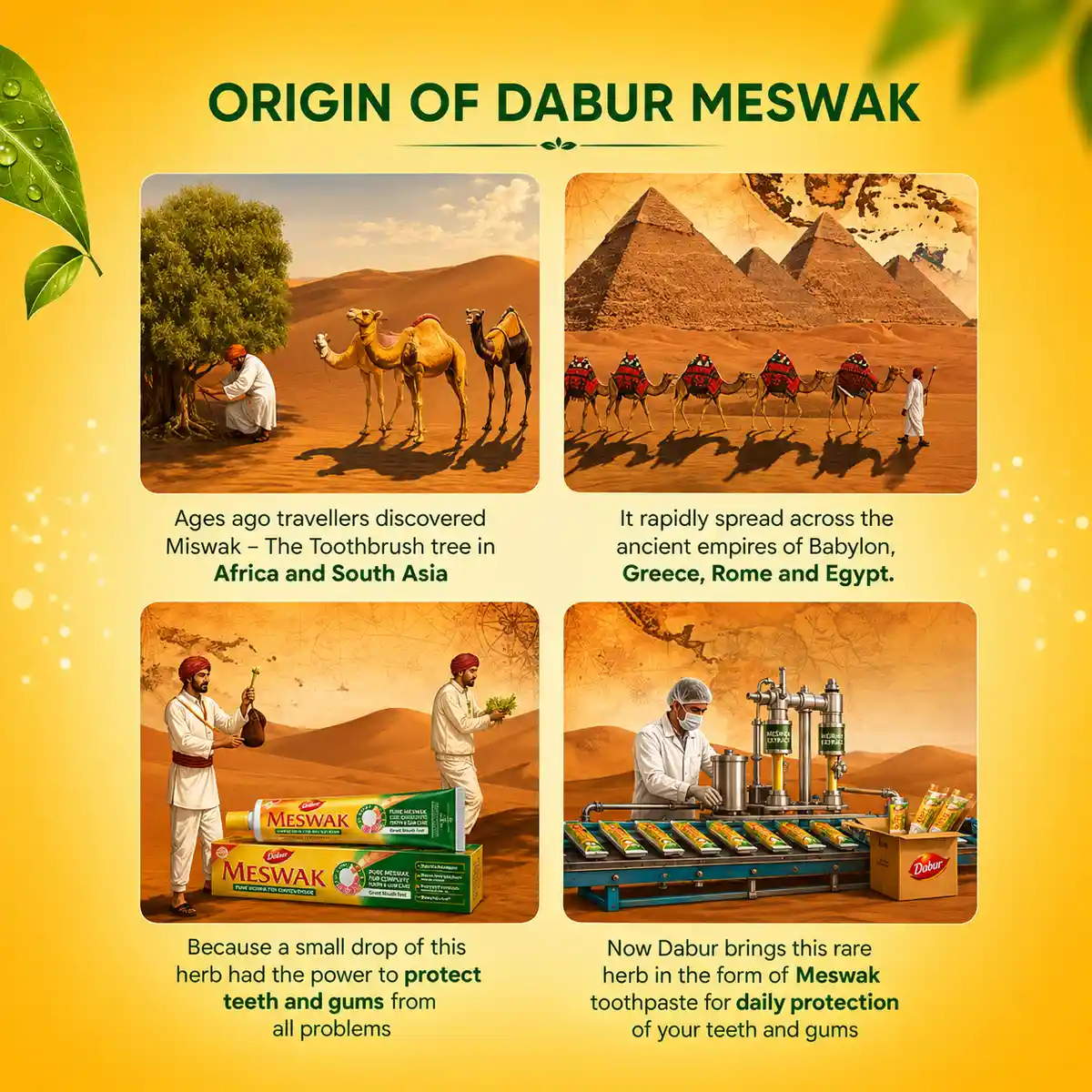 Dabur Meswak Toothpaste – Complete Ayurvedic Oral Care 6 Dabur Meswak Toothpaste for Complete Ayurvedic Oral Care & Strong Teeth 6