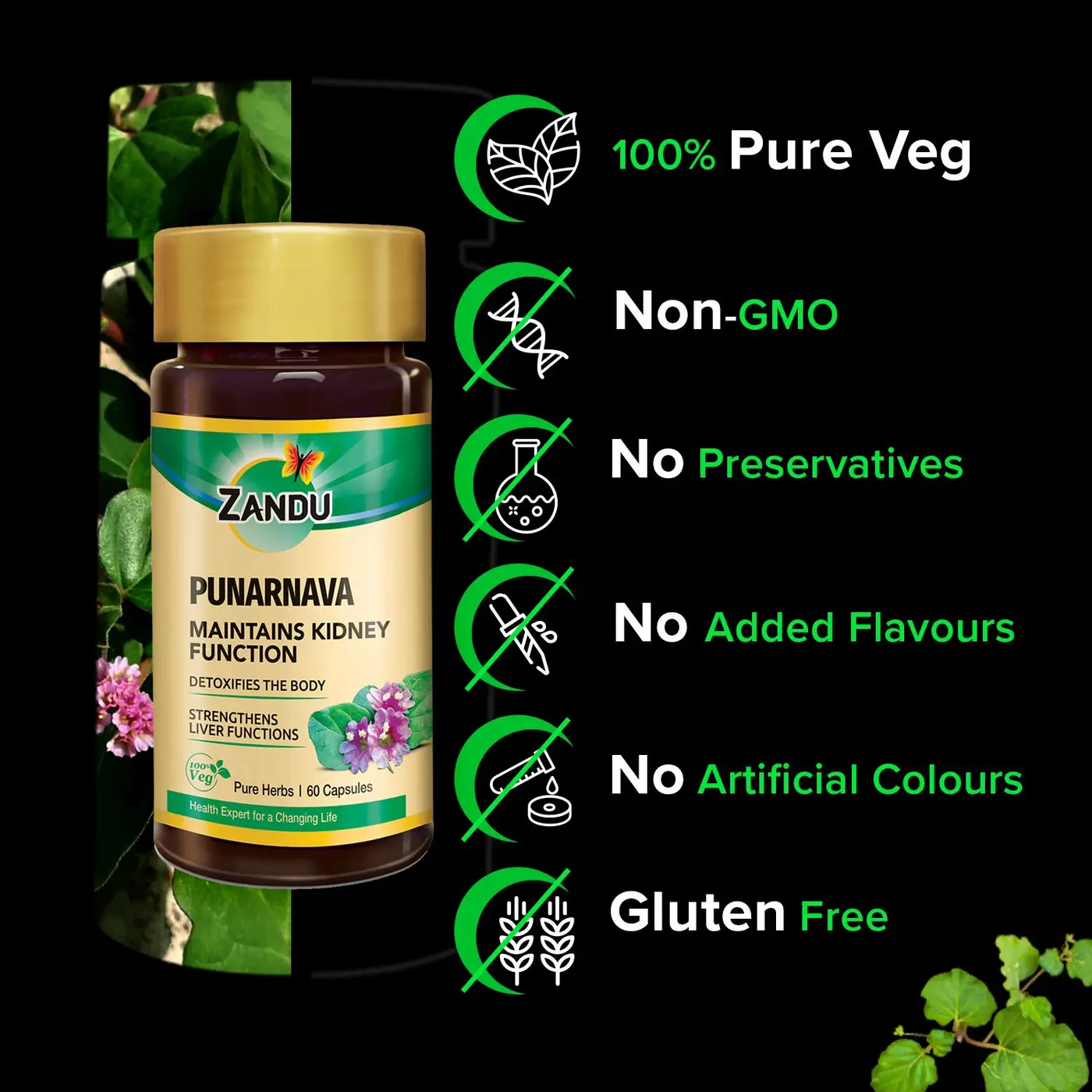 Zandu Punarnava - Liver and Kidney Care Supplement 3 Zandu Punarnava with electrolyte balancing properties | Maintains Kidney Function & Strengthens Liver Functions 3