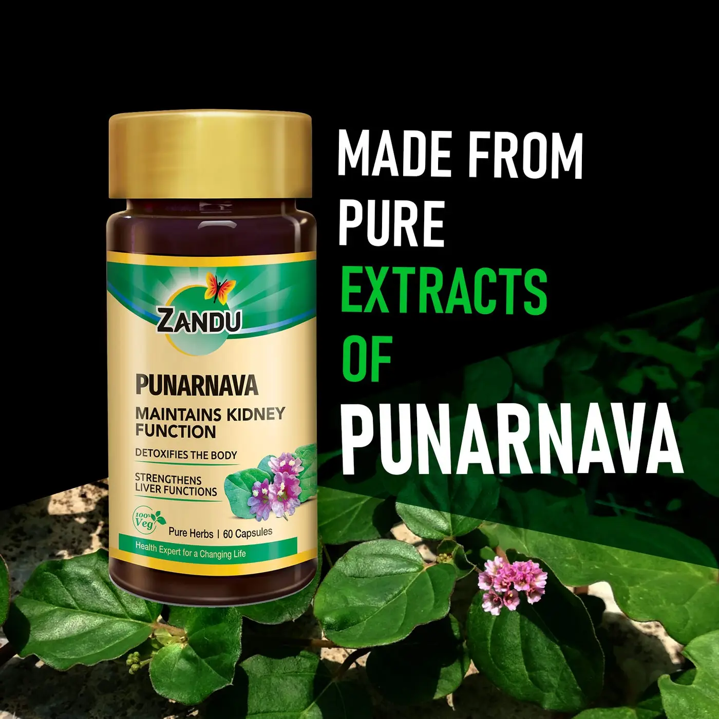 Zandu Punarnava - Liver and Kidney Care Supplement 4 Zandu Punarnava with electrolyte balancing properties | Maintains Kidney Function & Strengthens Liver Functions 4