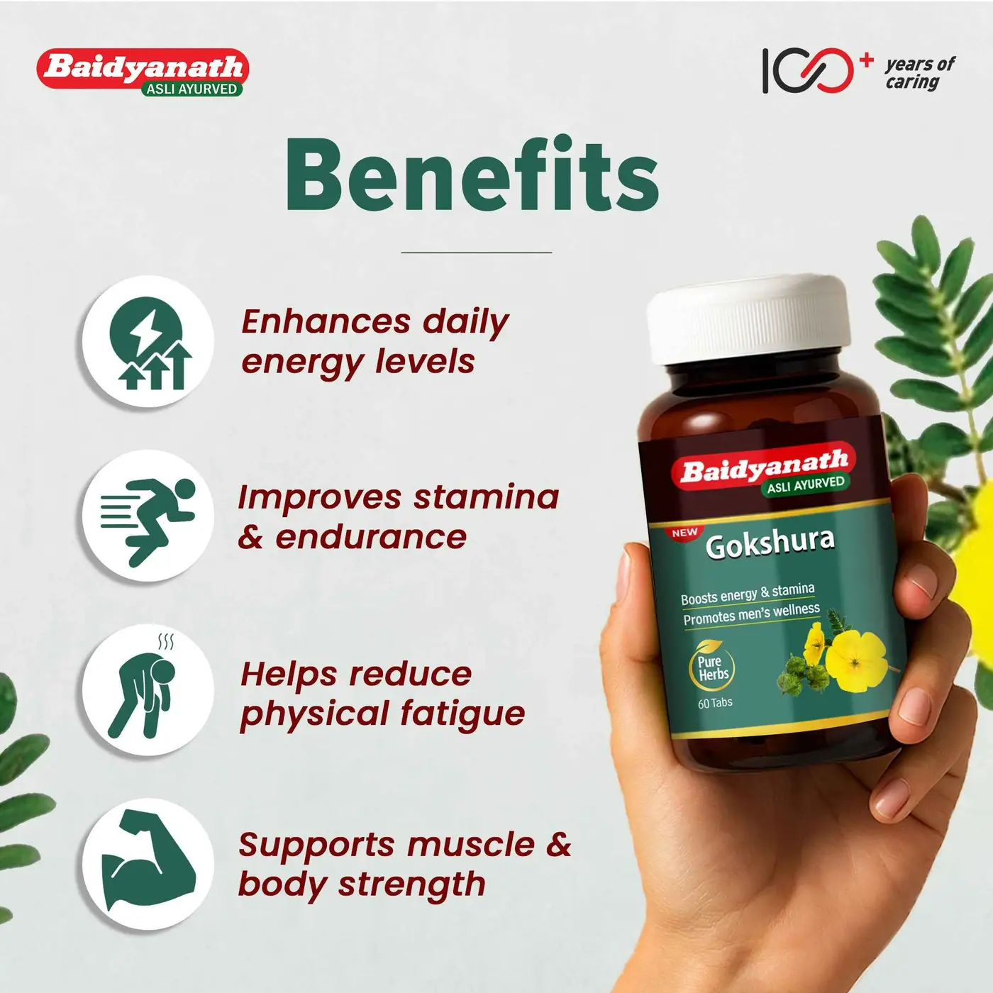 Buy Baidyanath Gokshura Capsules - Boost Energy & Stamina 2 Baidyanath Gokshura Capsules | Supports Strength & Vitality 2