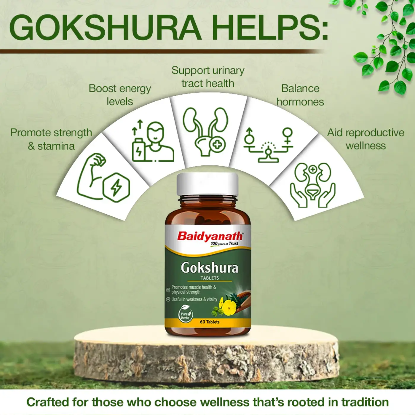 Buy Baidyanath Gokshura Capsules - Boost Energy & Stamina 3 Baidyanath Gokshura Capsules | Supports Strength & Vitality 3