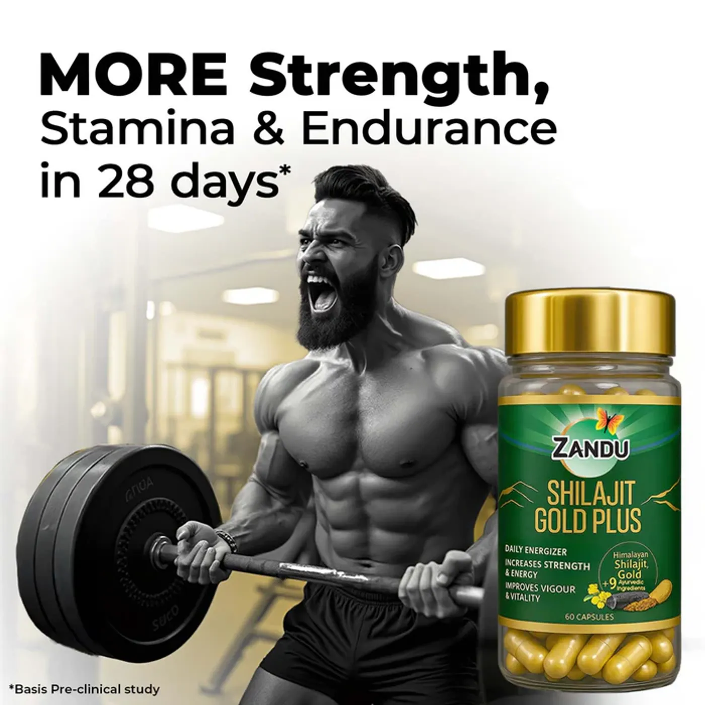 Zandu Shilajit Gold Plus Capsules | Boost your Stamina, Strength & Energy naturally in 28 Days | 100% Pure Himalayan Shilajit 2