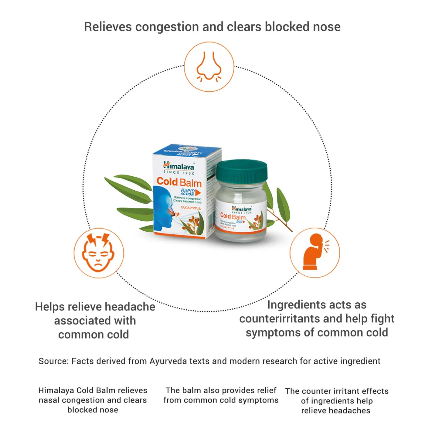 Himalaya Cold Balm | Relieves Congestion | Clears Blocked Nose 3