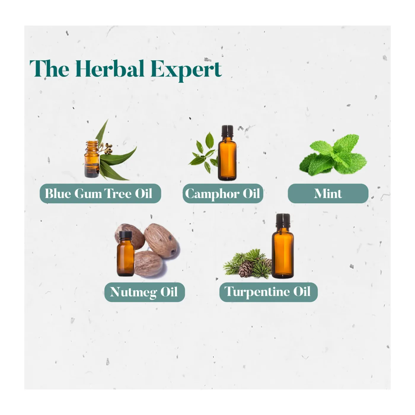 Himalaya Cold Balm | Relieves Congestion | Clears Blocked Nose 4