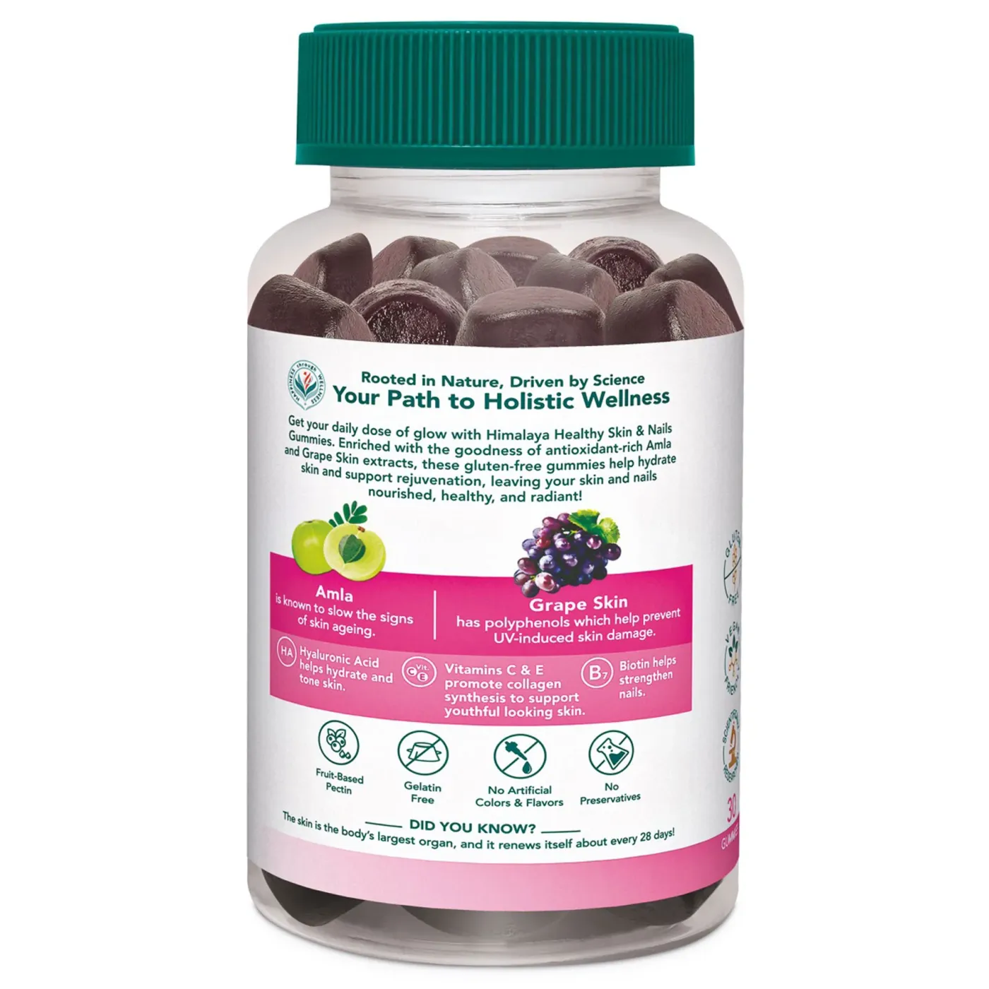 Himalaya Healthy Skin & Nails Gummies 4 हिमालया हेल्दी स्किन & नेल्स गमीज़ — स्वस्थ, चमकदार और युवा दिखने वाली त्वचा के लिए मजबूत नाखूनों के साथ | प्राकृतिक मिक्स्ड बेरी फ्लेवर | ग्लूटेन फ्री | वेगन फ्रेंडली 4
