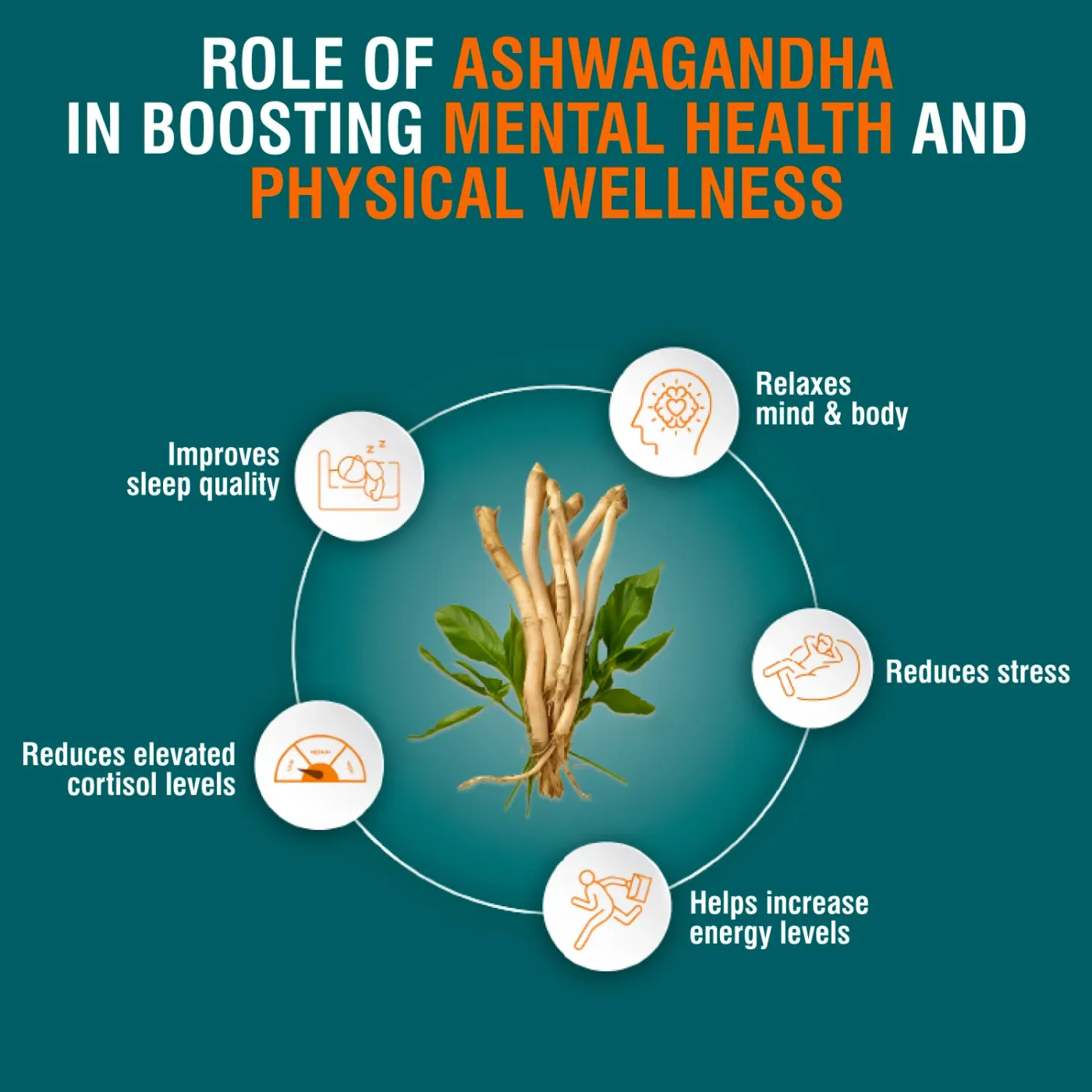Himalaya Ashwagandha Caplet for Stress Support 6 Himalaya Organic Ashwagandha Caplets for Stress Relief, Energy Boost & Mind-Body Rejuvenation 6