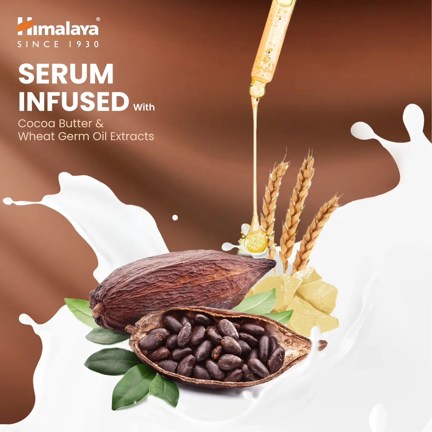 Himalaya Cocoa Butter Intensive Serum Body Lotion | വരണ്ട ചർമ്മത്തെ പോഷിപ്പിക്കുകയും മൃദുവാക്കുകയും ചെയ്യുന്നു | Cocoa Butter, Wheat Germ Oil എന്നിവ ചേർത്ത് സമ്പുഷ്ടം | pH 5.5 സമതുലിതം | 48 മണിക്കൂർ ഈർപ്പം നിലനിർത്തുന്നു 5