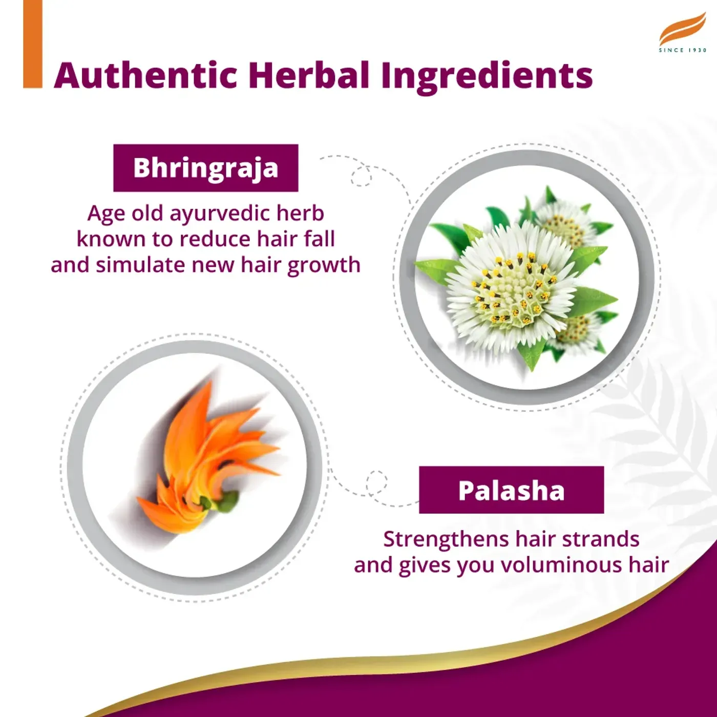 Himalaya Anti-Hair Fall Bhringaraja Shampoo 4 पुरुषों और महिलाओं के लिए हिमालया एंटी-हेयर फॉल भृंगराज शैम्पू | मजबूत बाल और कम झड़ना 4
