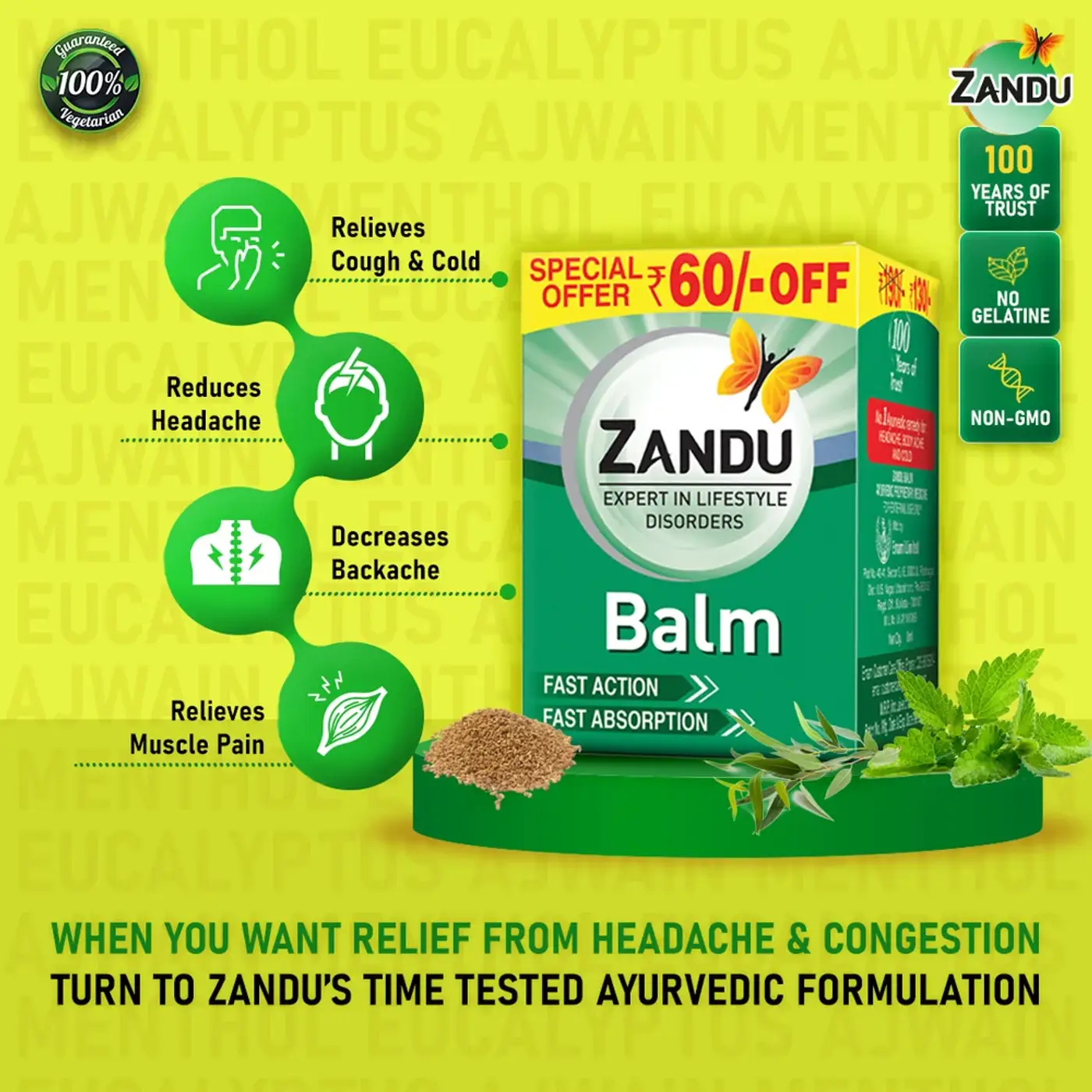 Buy Zandu Balm Online - Quick Pain Relief Ointment 2 झंडू बाम दर्द निवारक मलम 2